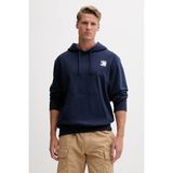 The North Face Mountain Logo Relaxed Erkek Kapüşonlu Sweatshirt - Lacivert - XL