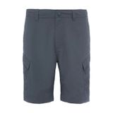 The North Face NF00CF720C51 M Horizon Cargo Shorts Eu Gri Erkek Outdoor Şort