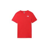The North Face Nf0a2zxev33 Redbox Celebration Tee Erkek T-shirt