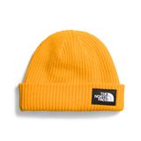 THE NORTH FACE NF0A3FJW56P1 Tuzlu Çizgili Beanie Şapka Erkek Summit Gold Beden OS