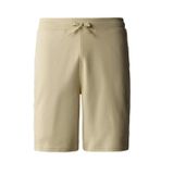 The North Face NF0A3S4F3X41 Graphic Light Sportshorts Erkek Şort