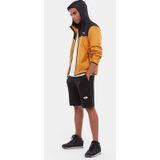 The North Face NF0A3S4FJK31 M Graphic Short Light Erkek Şort