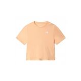 The North Face NF0A55AY3R81 W Foundation Crop Tee Kadın T-shirt