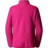The North Face NF0A5IHN3X61 W 100 Glacier Yarım Fermuar Eu Kadın Polar