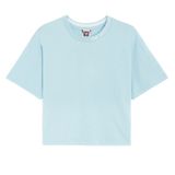 The North Face NF0A5ILX3R31 Zumu Crop Mavi Kadın T-shirt