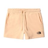 The North Face Nf0A7Qzx W Logowear Mavi Kadın Şort
