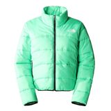 The North Face NF0A7URF8YK1 2000 Synthetic Puffer Yeşil Kadın Mont