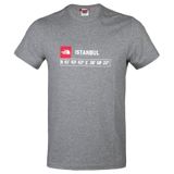 The North Face NF0A7ZC2DYY1 Gri M Gps Tee İstanbul Rec Günlük Erkek T-shirt