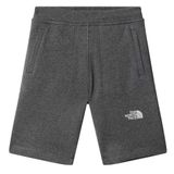 The North Face NF0A823OGVV1 Mountain Athletics Erkek Şort