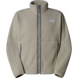 The North Face NF0A88XQ1I41 Gri Erkek Tnf Fleeskı Fz Ceket
