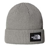 The North Face NF0A8CGZDYX1 Gri Salty Lined Unisex Outdoor Bere