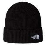 The North Face NF0A8CGZJK31 Siyah Salty Lined Unisex Outdoor Bere