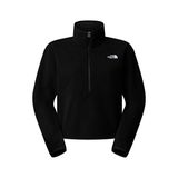 The North Face NF0A8D2CJK31 Siyah Glacier Fleece 1/2 Zip Short Kadın Outdoor Polar