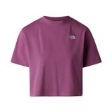 The North Face NF0A8FDHG4Y1 W Evolutıon Sımple Dome Crop Rlx Ss Tee Kadın Tişört