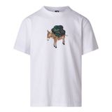 The North Face Nf0a8g9ffn41 M Donkey Taxı Relaxed Short Sleeve Tee-G Erkek Tişört