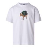 The North Face Nf0a8g9ffn41 M Donkey Taxı Relaxed Short Sleeve Tee-G Erkek Tişört
