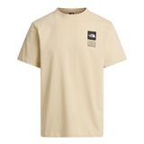 The North Face Nf0a8gasdom1 M Icon Celebratıon Regular Short Sleeve Erkek Tişört