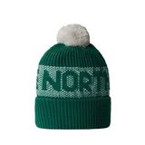 The North Face Retro Cabın Bere Nf0A88Qw84O1