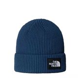 The North Face Salty Lıned Beanıe Unisex Bere Nf0a8cgzhdc1