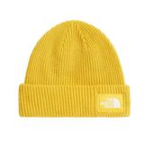 The North Face Salty Lıned Beanıe Unisex Bere Nf0a8cgzno71
