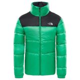 The North Face T933IT6XA Yeşil Erkek Outdoor Mont