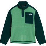 The North Face Teen Yumıorı 1/4 Zıp Jacket Unisex Genç Çocuk Ceket NF0A8J61JZX1 - L - Yeşil