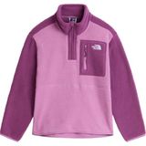 The North Face Teen Yumıorı 1/4 Zıp Jacket Unisex Genç Çocuk Ceket NF0A8J61K221 - L - Çok Renkli