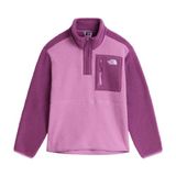 The North Face Teen Yumıorı 1/4 Zıp Jacket Unisex Genç Çocuk Ceket Nf0a8j61k221