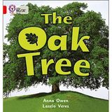 [The Oak Tree: Band 02B/Red B (Collins Big Cat)] [By: Owen, Anna] [January, 2005]