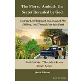 The Plot to Ambush Us: Secret Revealed by God: How the Lord Exposed Evil, Rescued His Children, and Turned Fear Into Faith (One Miracle at a Time, Band 3)