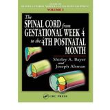 [(The Spinal Cord from Gestational Week 4 to the 4th Postnatal Month: v. I)] [Author: Shirley A. Bayer] published on (June, 2002)