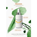The Stem Cell Lab 101 Hair Serum - Exozom ile Zenginleştirilmiş Saç Serumu 50ml