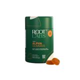 The Wellness Store Alpha Gummies 60 Gummies │ 10 in 1 │ +4000 mg Shilajit
