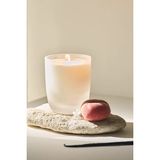 The White Company Spa Escape Şeftali & Vanilya Aromalı Kokulu Mum 270 G