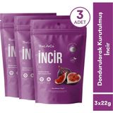TheLifeCo Freeze Dried - Dondurularak Kurutulmuş İncir 3'lü Paket - 22 gr