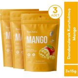 TheLifeCo Freeze Dried - Dondurularak Kurutulmuş Mango 3'lü Paket - 45 gr