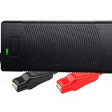 THEPRO 12V 3A LiFePO4 Battery Charger, Smart 14.6V Chargers for 12.8V Lithium Iron Phosphate Rechargeable Batteries