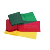 TheraBand profesyonel lateks direnç bantları, üst vücut, alt vücut ve gövde egzersizleri, fizyoterapi, pilates, ev antrenmanı ve rehabilitasyon için, 20403, sarı/kırmızı/yeşil – başlangıç seti.