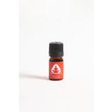 Therapium Naturalis 5 ml Focus Karışım Yağı