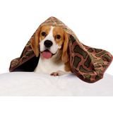Thermo Blanket Sıvı ve Rüzgar Geçirmez Polar Pati Baskılı Köpek Battaniyesi- 80 x 100 cm - Kahverengi