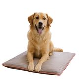 Thermo Mat, 2’si 1 Arada Jel Dolgulu, Kışın Isıtıcı & Yazın Serinletici Etkili Kedi Ve Köpek Matı (Gri, 60 x 80)