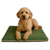 Thermo Mat, 2’si 1 Arada Jel Dolgulu, Kışın Isıtıcı & Yazın Serinletici Etkili Kedi Ve Köpek Matı (Haki, 60 x 80)