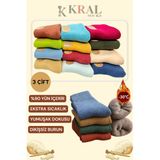 Thermo Ozellikli 2X Korumali (3 Cift) Kadin Termal Renkli Kislik Yun Havlu Corap