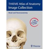 Thieme Atlas of Anatomy Image Collection: v. 3: Head and Neuroanatomy