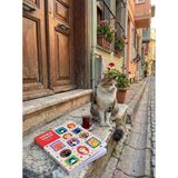 Thinkbook Zamansız Ajanda, Çerçeve Kedi Ajanda - 1 Adet - Çok Renkli