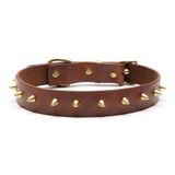 Thor Handmade Deri Köpek Tasması Açık Kahve M (36-45CM) Cl-Th-T-M
