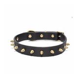 Thor Handmade Deri Köpek Tasması Siyah M (36-45CM) Cl-Th-Bl-M