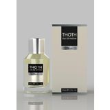 THOTH M-6, Boss'dan Esinlenilmiş Koku ikizi 50 ml EDP Erkek Parfümü, Üst Notalar: Elma, Erik, Limon, Bergamot, Meşe yosunu ve Sardunya. Orta Notalar:Tarçın, Maun ve Karanfil. Alt Notalar: Vanilya,
