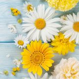 Ti-Flair Tı Flaır Flores De Jardın Desenli Kağıt Peçete - Mavi - Beyaz - Sarı