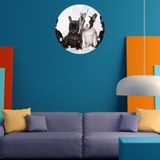 Tİ-PLAY BULDOG YAVRULARI 30X30CM AKRİLİK DEKORATİF MODERN DUVAR SAATİ
